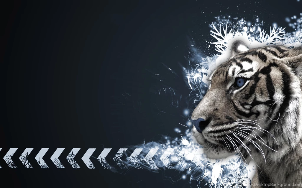Tiger Wallpapers Collection (42+)