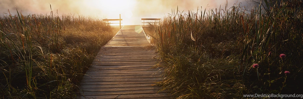 Dual Monitors Zombie Wallpaper Backgrounds