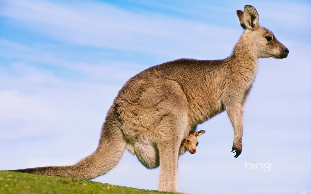 Australian Natural Scenery Wallpapers 6 - Landscape Wallpapers ...