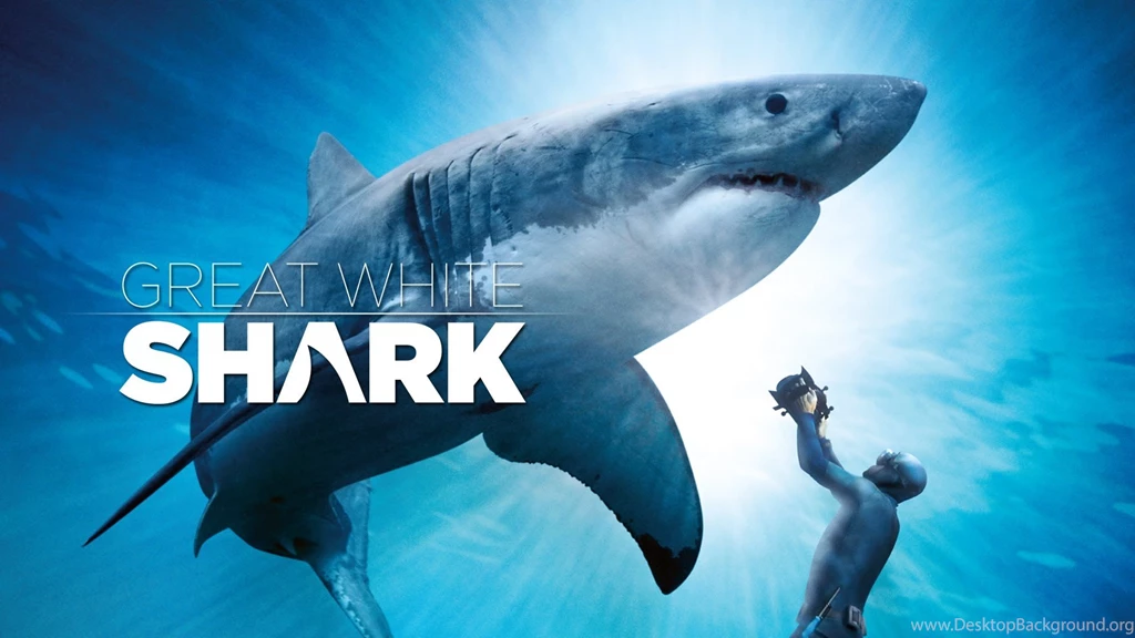 Great White Shark Official Trailer IMAX And Digital 3D YouTube