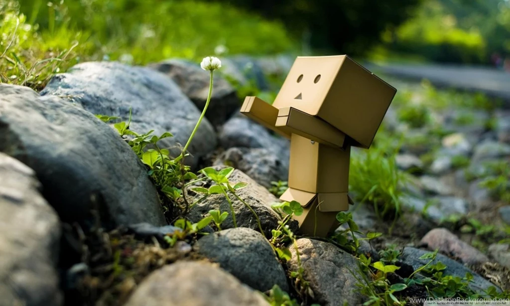 Reaching A Dream HD Desktop Wallpapers : Widescreen : High ...