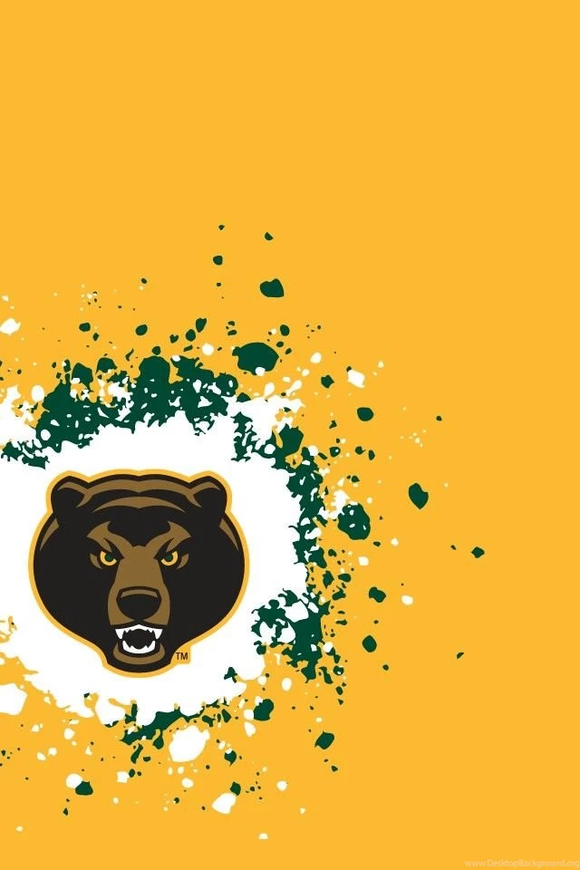 Baylor Bears On Pinterest