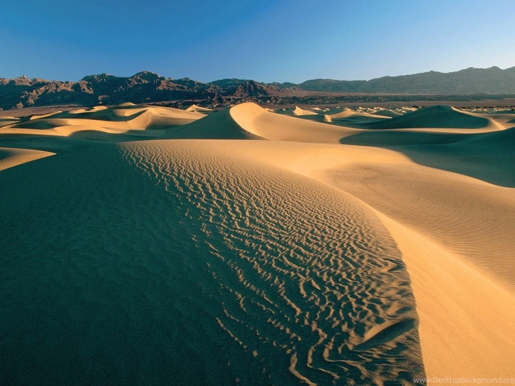 Death Valley Mountain Lion Wallpaper.