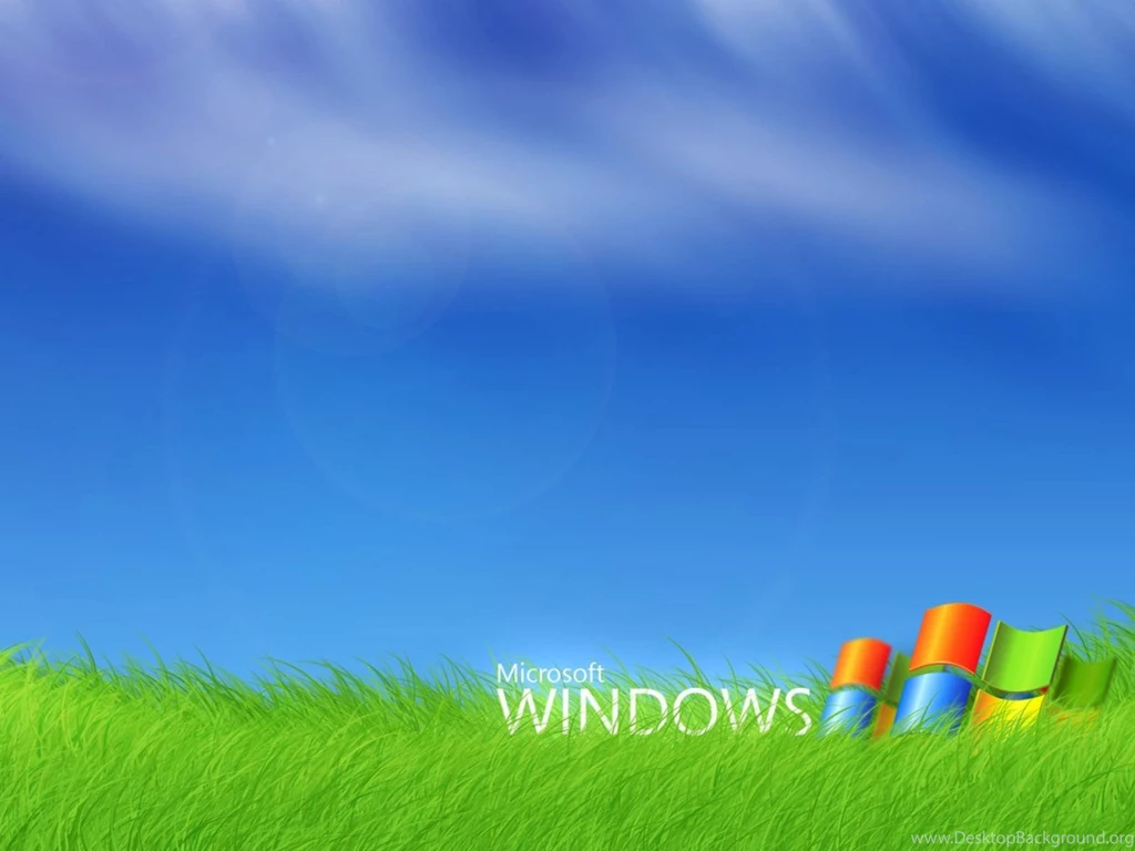 Grass Windows XP Wallpapers Totalinfo90