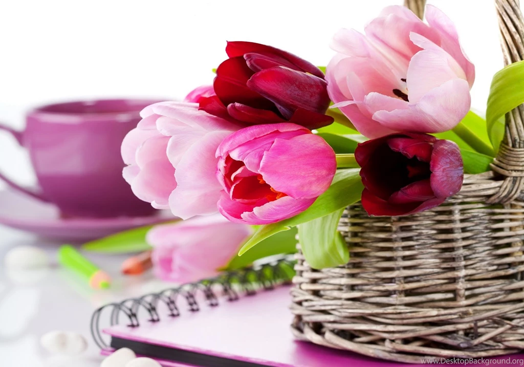 Different Flowers Images And Wallpapers Download