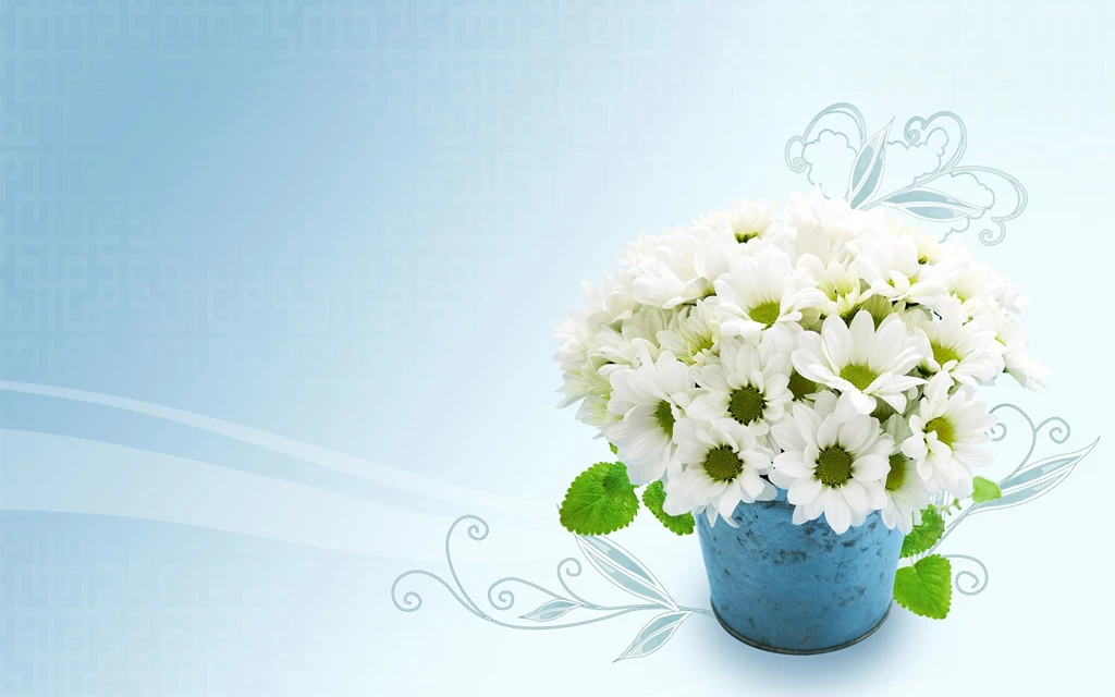 Desktop, Wallpaper, Background, Search, White, Flower (