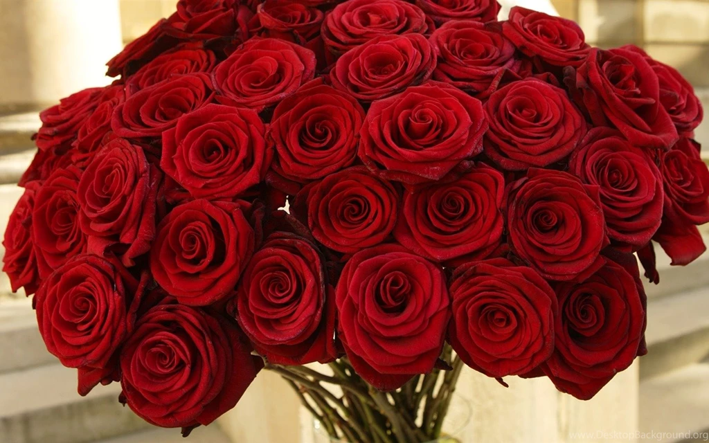 A Huge Bunch Of Roses Flowers Photography Desktop Wallpapers ...