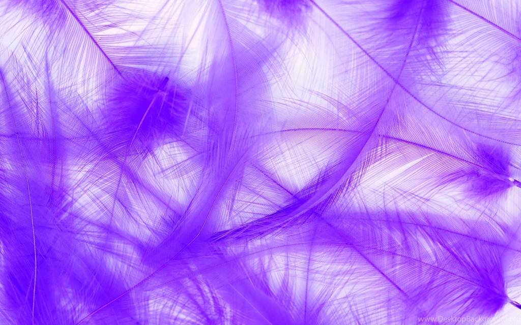 Black White And Purple Wallpapers All Wallpapers New