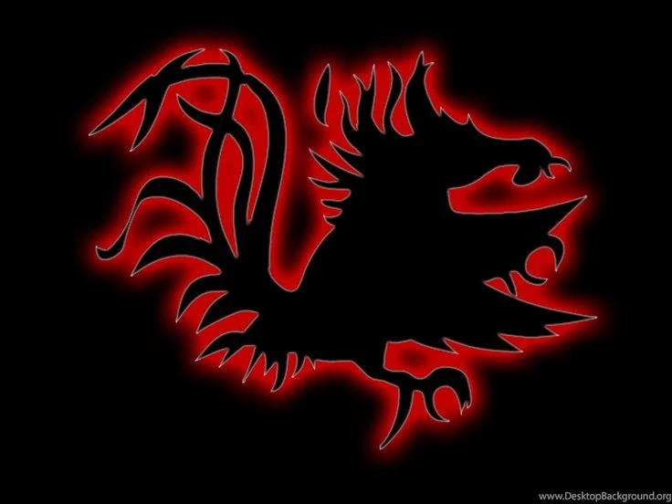 Gamecocks Backgrounds Google Search