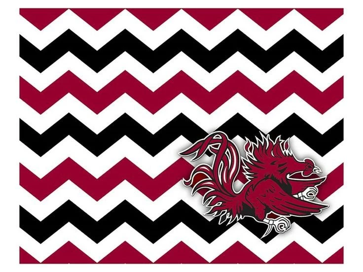 Gamecocks {Biggest Stress inducer Of The Year} On Pinterest ...