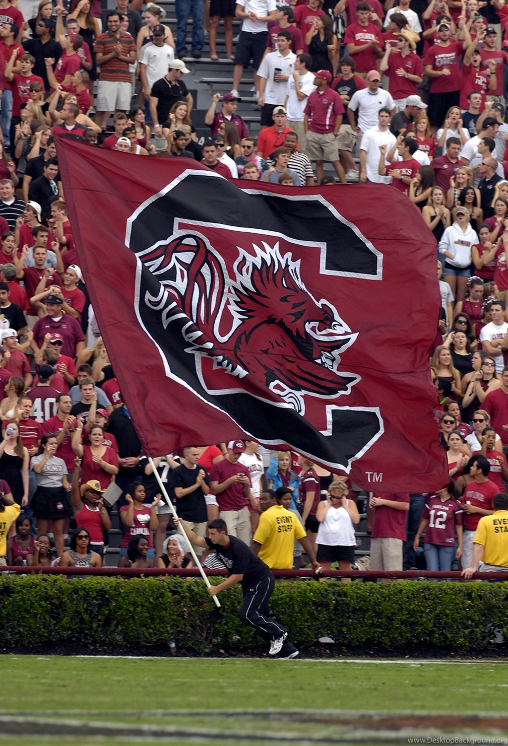 Sweet Gamecock IOS7 Backgrounds