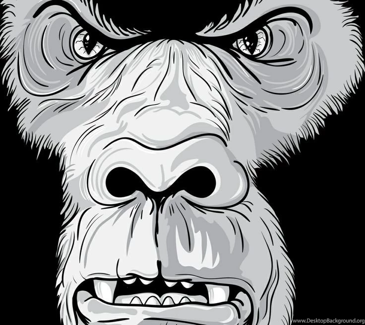 Silverback Ape Cartoon Photos