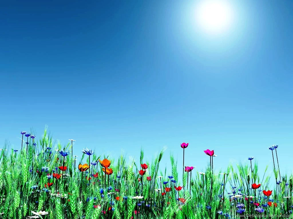 Spring Desktop Wallpapers