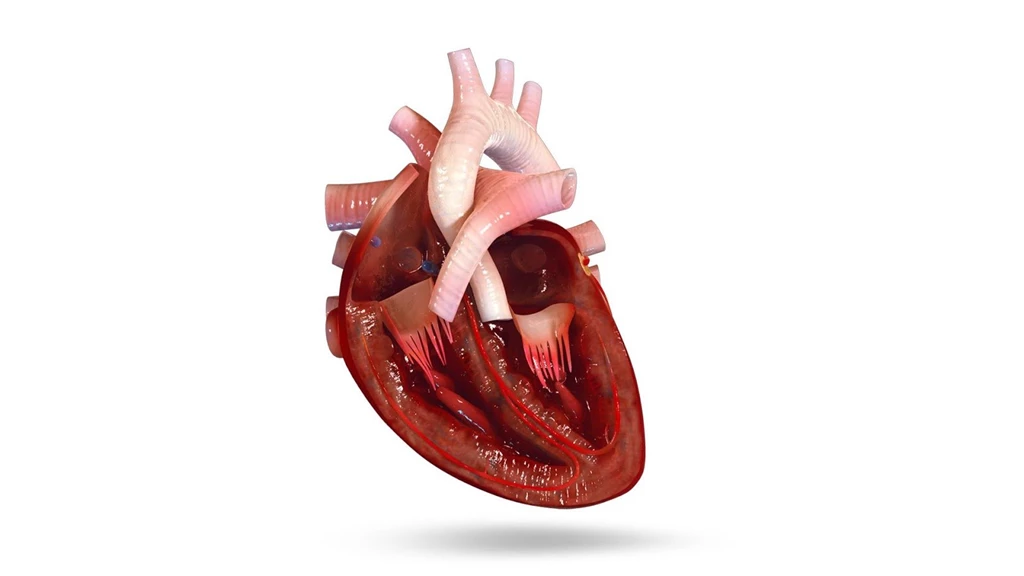 VR Human Heart Android Apps On Google Play