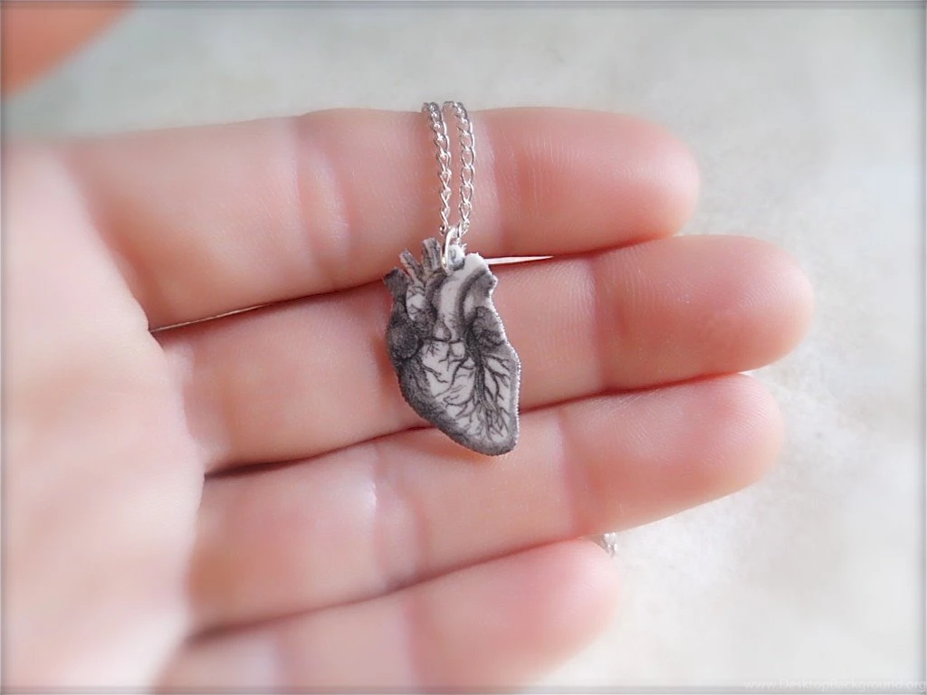 Wallpapers Human Heart Hd 1024x768