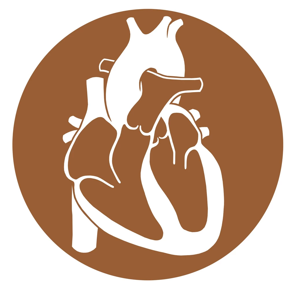 Human Heart Tattoo Design By Metamodernism On DeviantArt