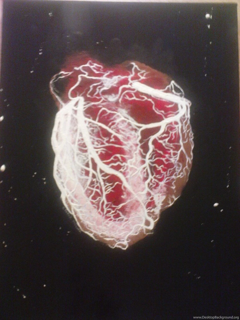 Human Heart By Cymue On DeviantArt