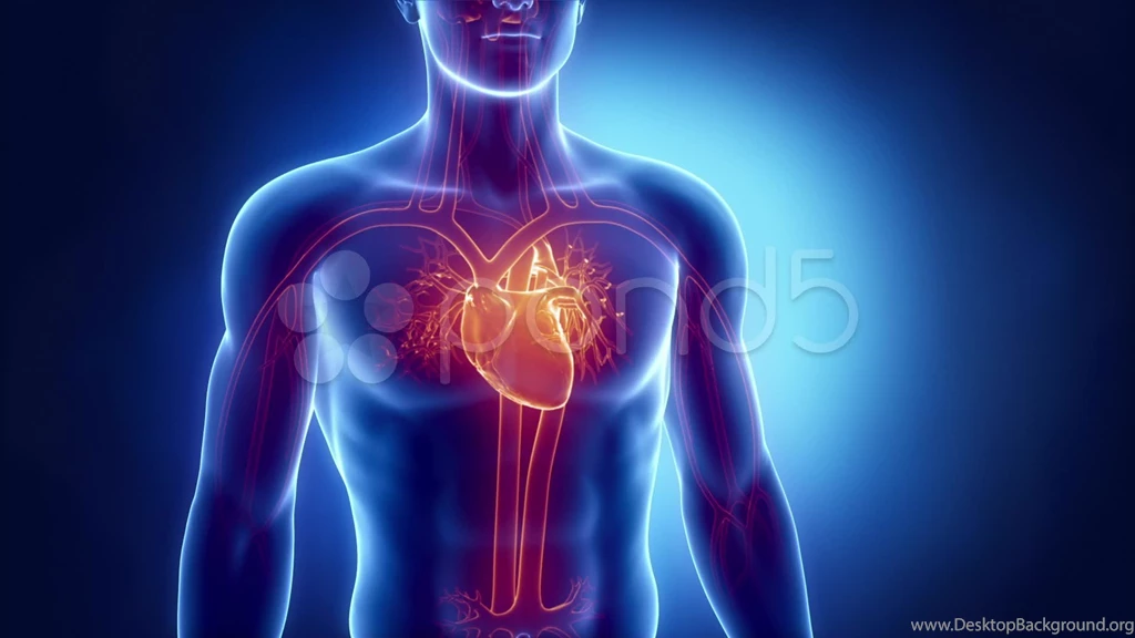 Beating Human Heart Stock Video 11912658