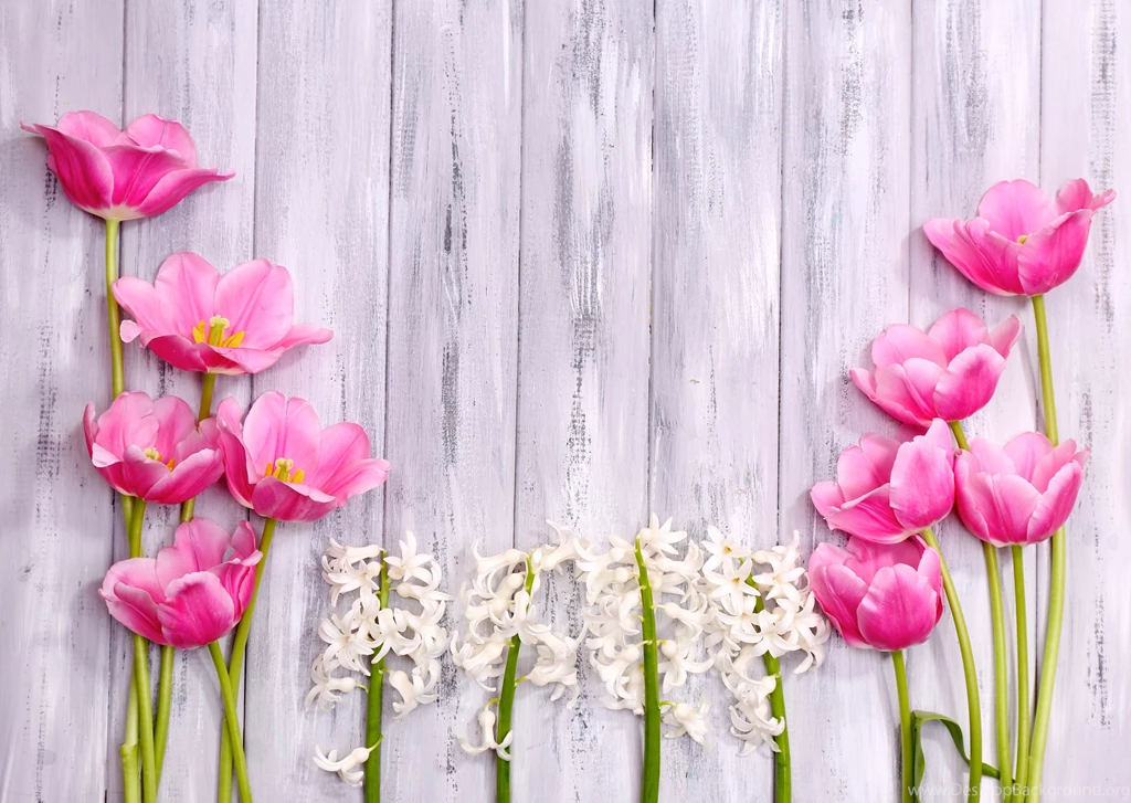 Flowers: Spring Flowers Hyacinth Wood Tulips Shutterstock Free ...