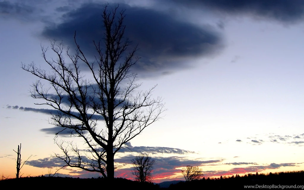 Movies Wallpapers — Free Full HD Wallpaper. Widescreen HQ Desktop ...