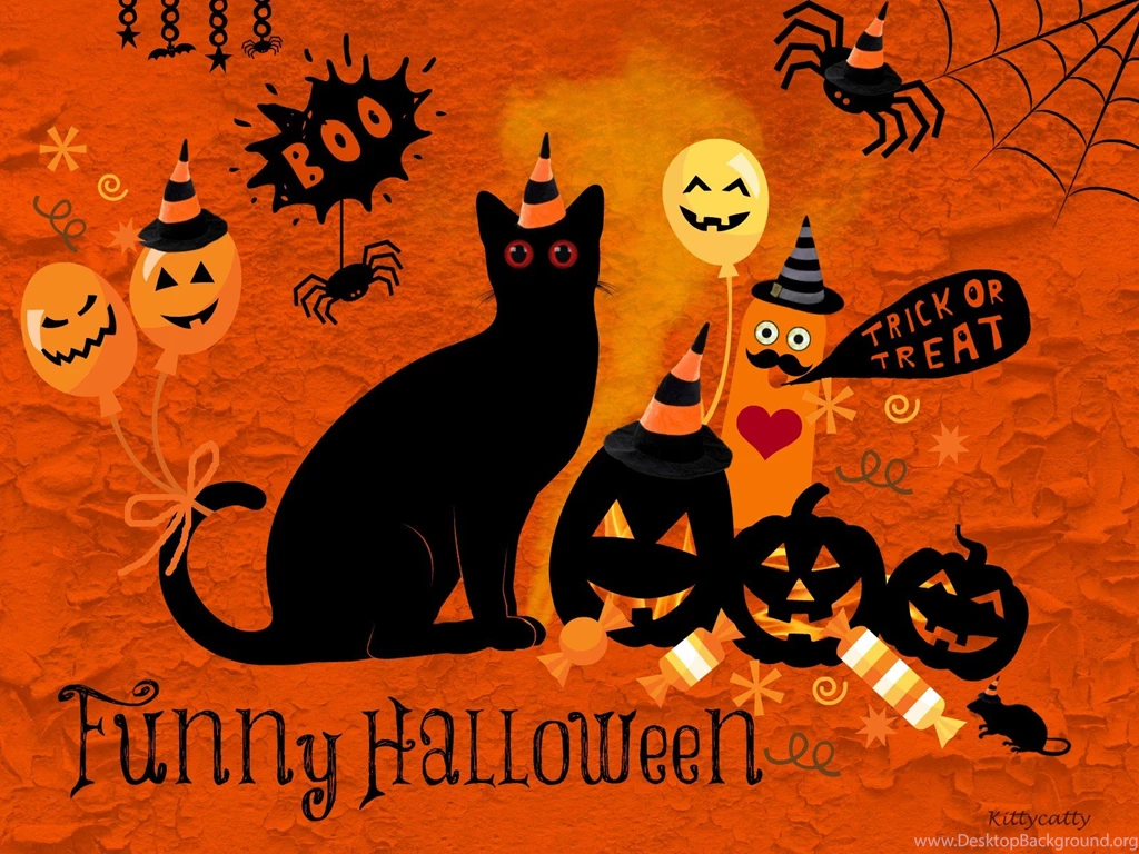 Cats: Funny Halloween Spider Cats Party Boo Rat Eve Trick Treat ...