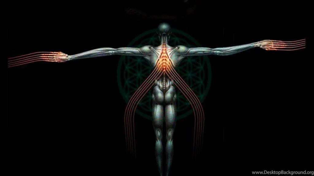 Music Tool HD Wallpapers, Desktop Backgrounds, Mobile Wallpapers ...