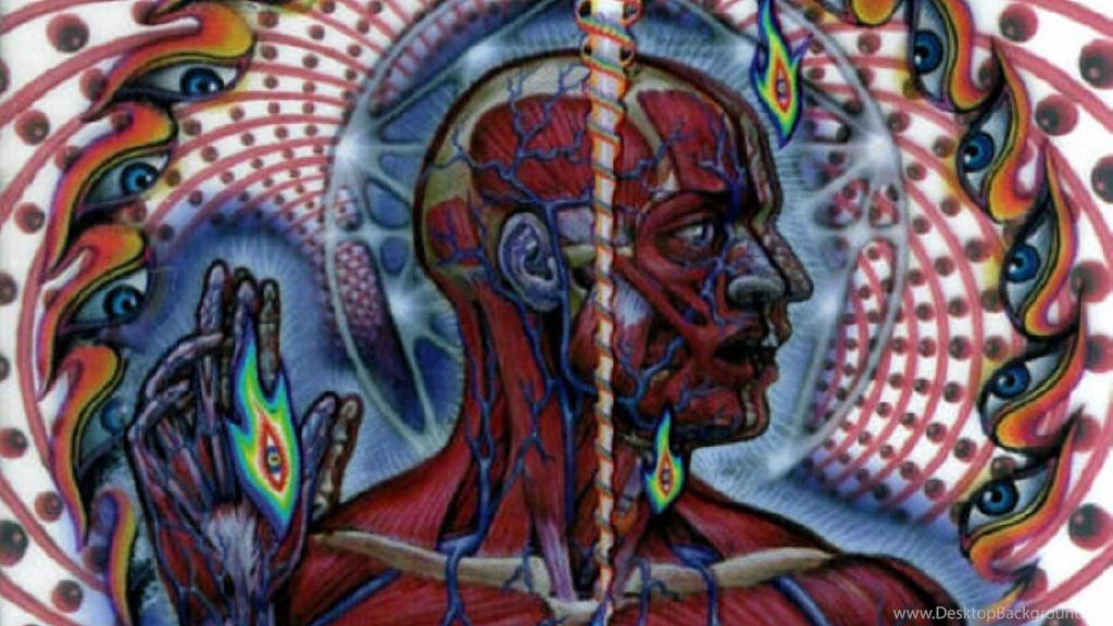 Tool Music Music Tool HD Wallpapers, Desktop Backgrounds, Mobile ...