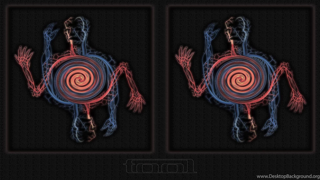 Tool Anatomy Band Multicolor Best Widescreen Backgrounds Awesome