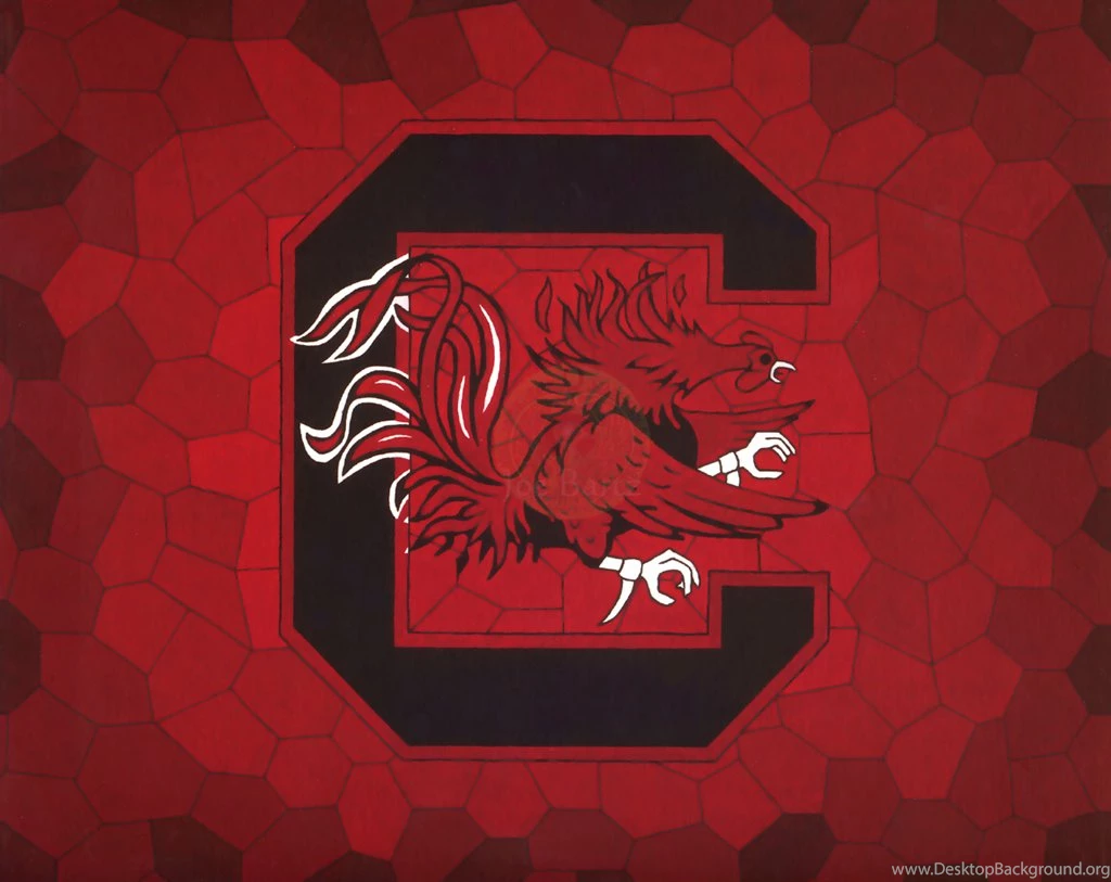 1365x1024px South Carolina Gamecocks