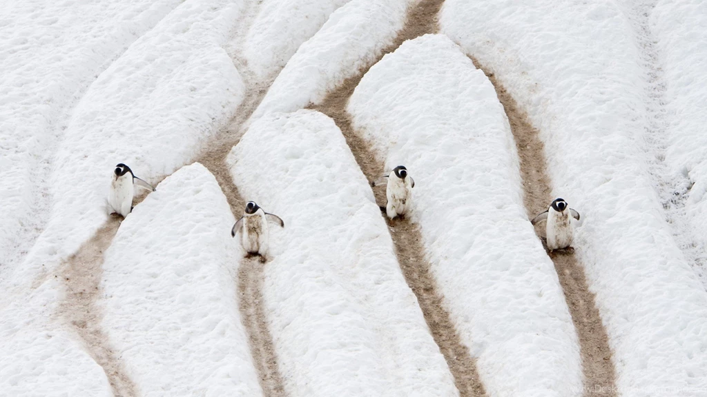 Download Highway Gentoo Wallpapers 1920x1080