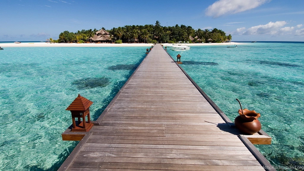 Tropical Island Collection (44+)