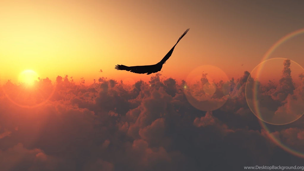 Clouds Birds Hawks Hawk Above