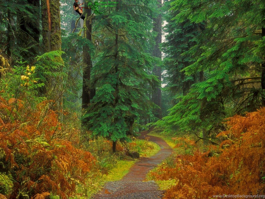 HD Widescreen Backgrounds Wallpapers: Cool Nature Wallpapers ...