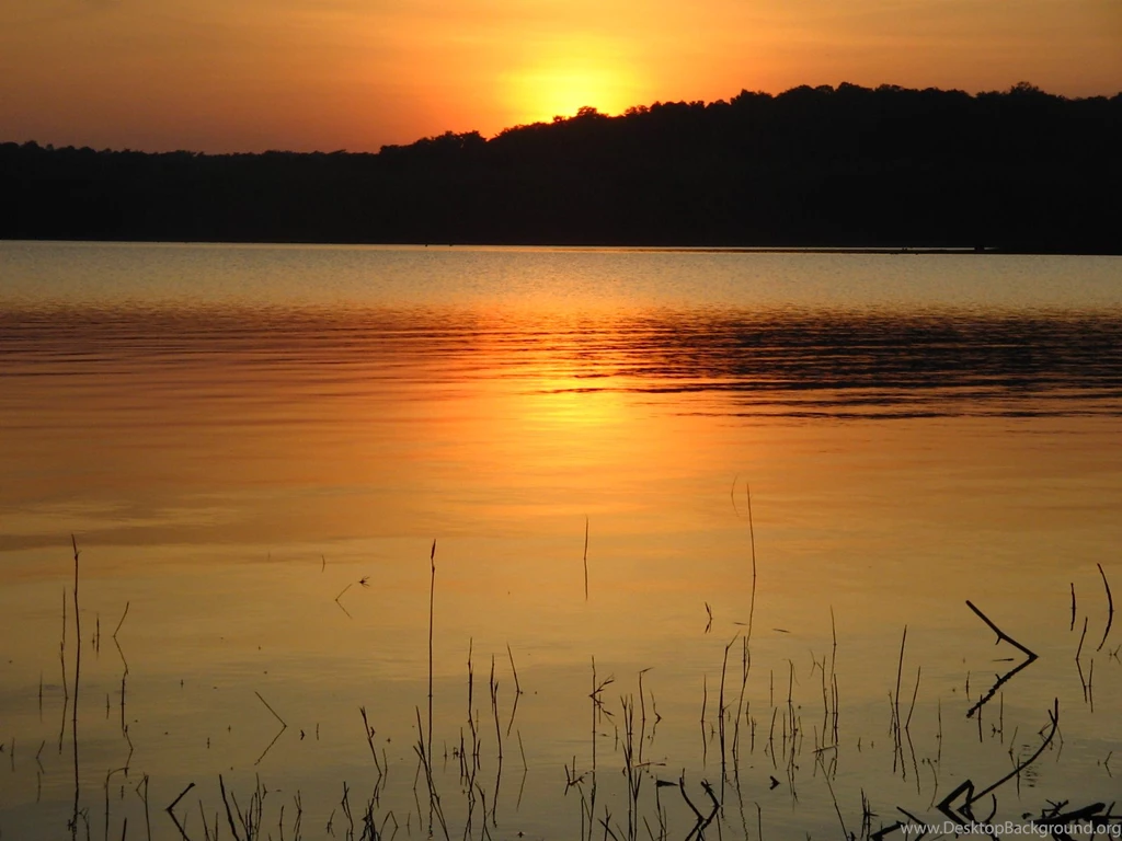 Free Screensavers And Wallpapers   7Screensavers.com