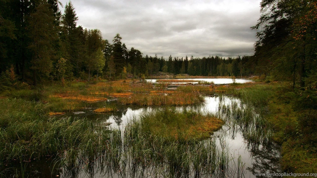 Hd Lake Scenery HD Wallpapers Widescreen 1920x1080
