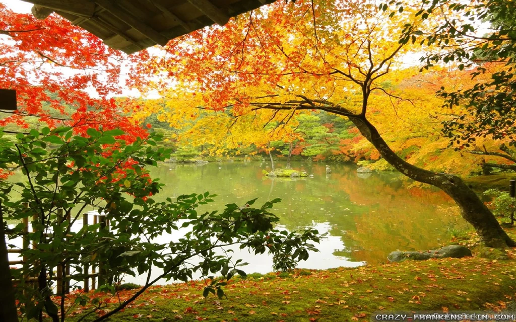 Beautiful Autumn Wallpapers 3 Seasonal Crazy Frankenstein