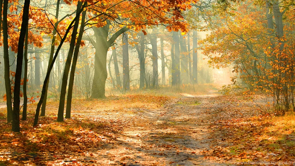 High Resolution Nature High Resolution Wallpapers Full Size ...