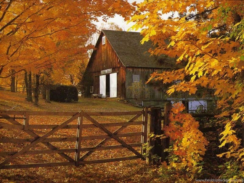 Free Thanksgiving PowerPoint Backgrounds Download