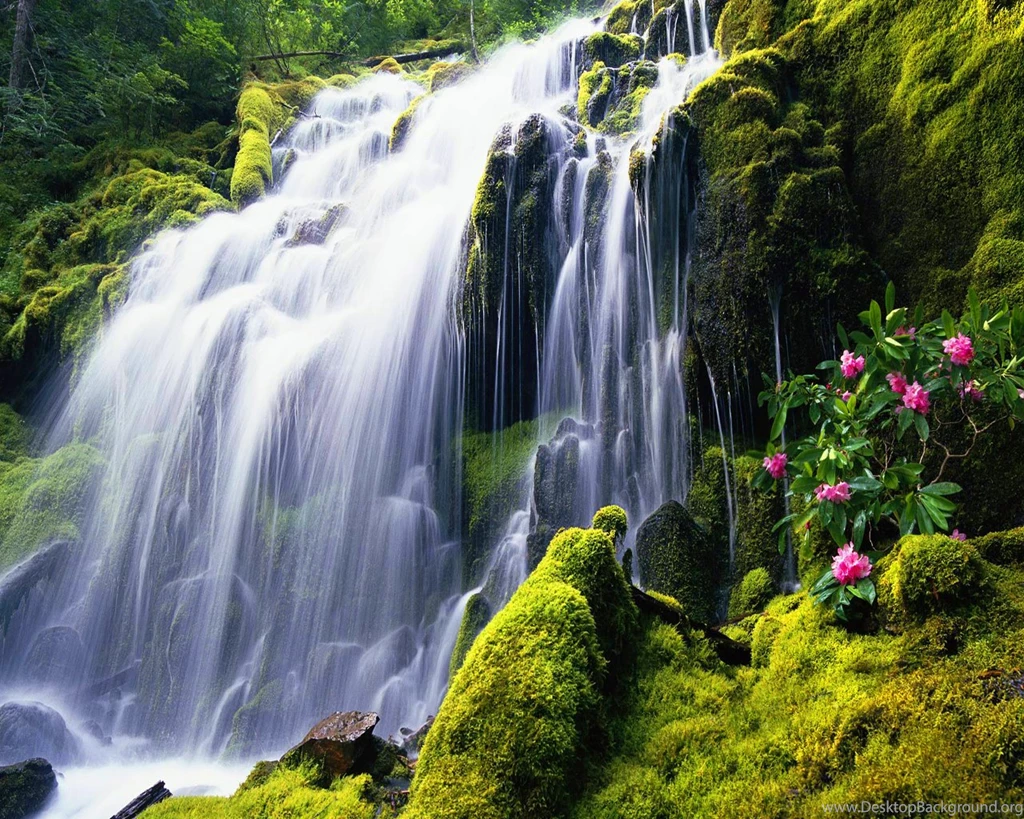 Free Waterfall Wallpapers For Desktop   Images   Tbwnz.com
