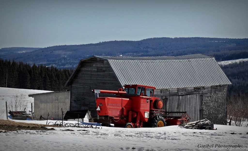 Top Caedes Wallpapers Wallpapers