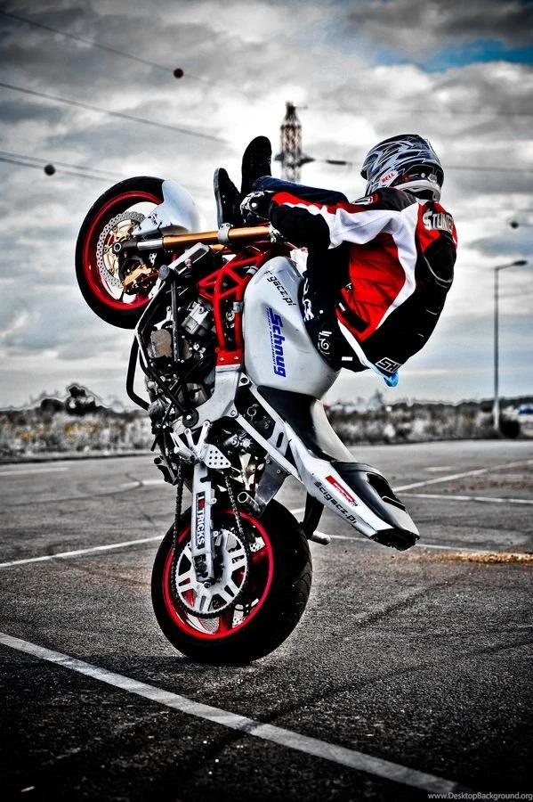 Stuntbikes On Pinterest