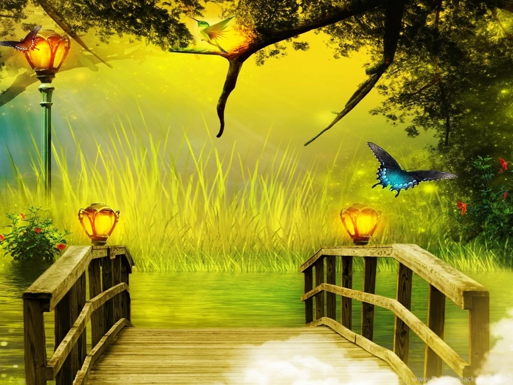 Butterflies Yorkshire_rose Wallpapers (15990927) Fanpop