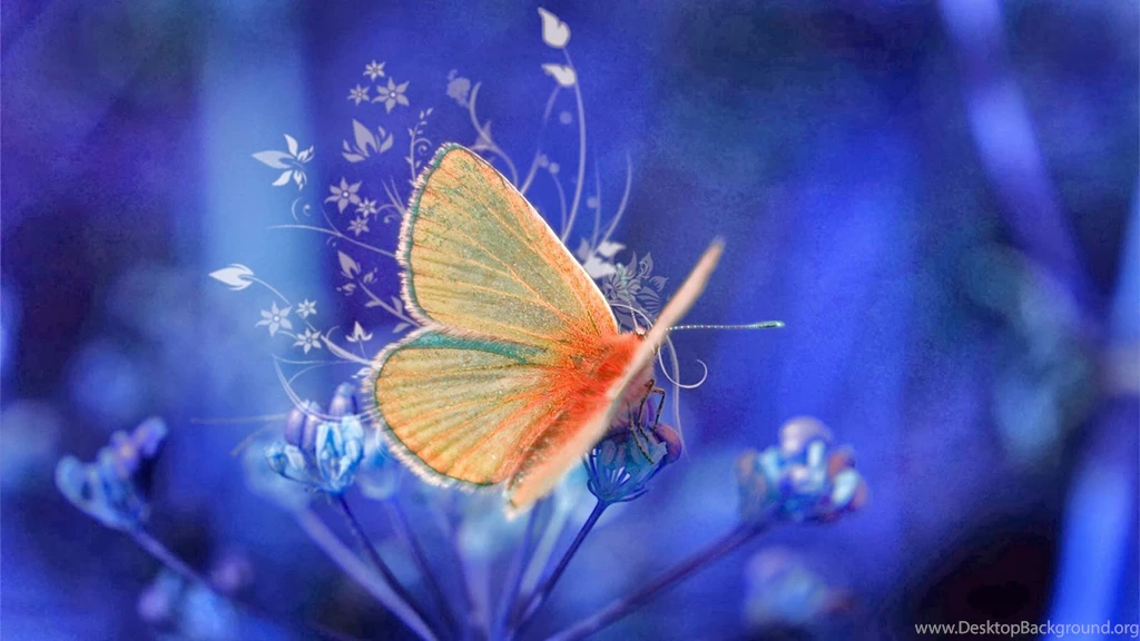 Yellow Butterfly Wallpapers HD