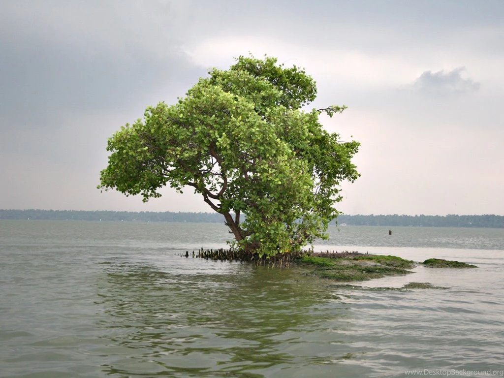 Wallpapers Of Kerala's Nature.