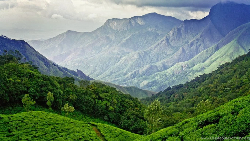 Tea Fields In Munnar, Kerala, India (© Vidhu S/500px)