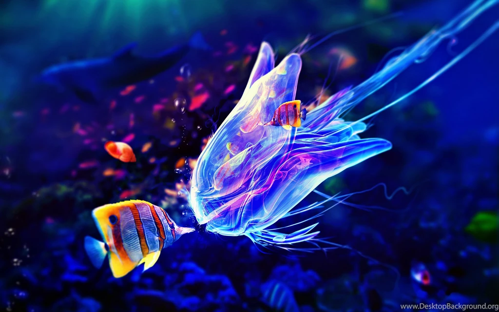 New Fish Photos View