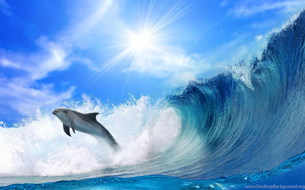 Delfin Color New Val Fish Free Download Wallpapers ~ Fish For HD 16 ...