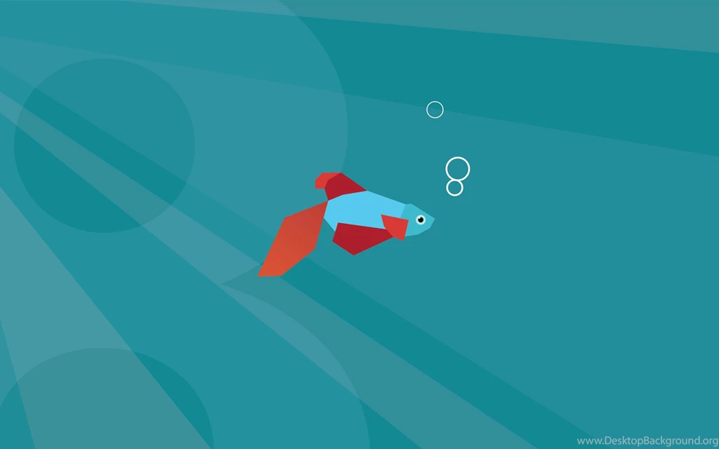 New Fish Photos View