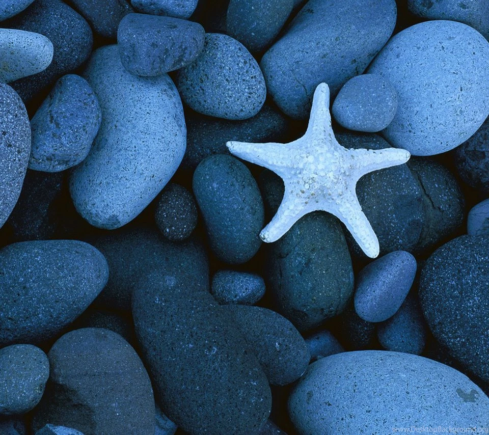 Zedge store free wallpapers