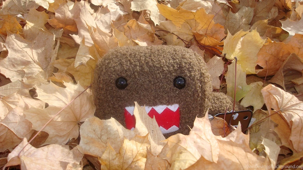 Domo, Wide, High, Definition, Wallpaper, Download, Domo, Images ...